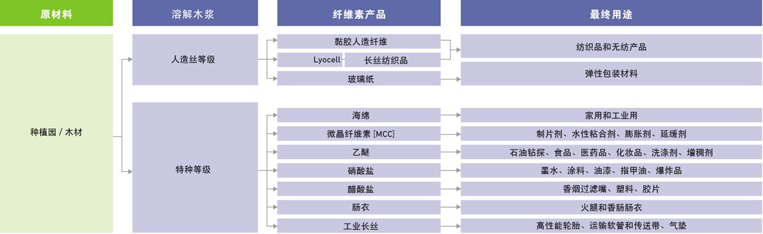 赛得了.jpg